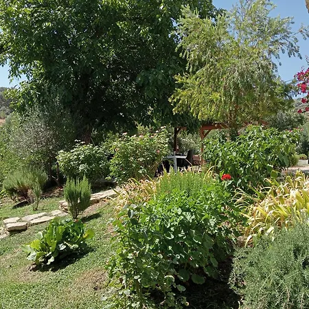 Holiday home La Maquinilla