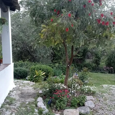 La Maquinilla Holiday home Grazalema